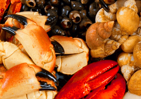 Fruits de mer pour augmenter la puissance des hommes
